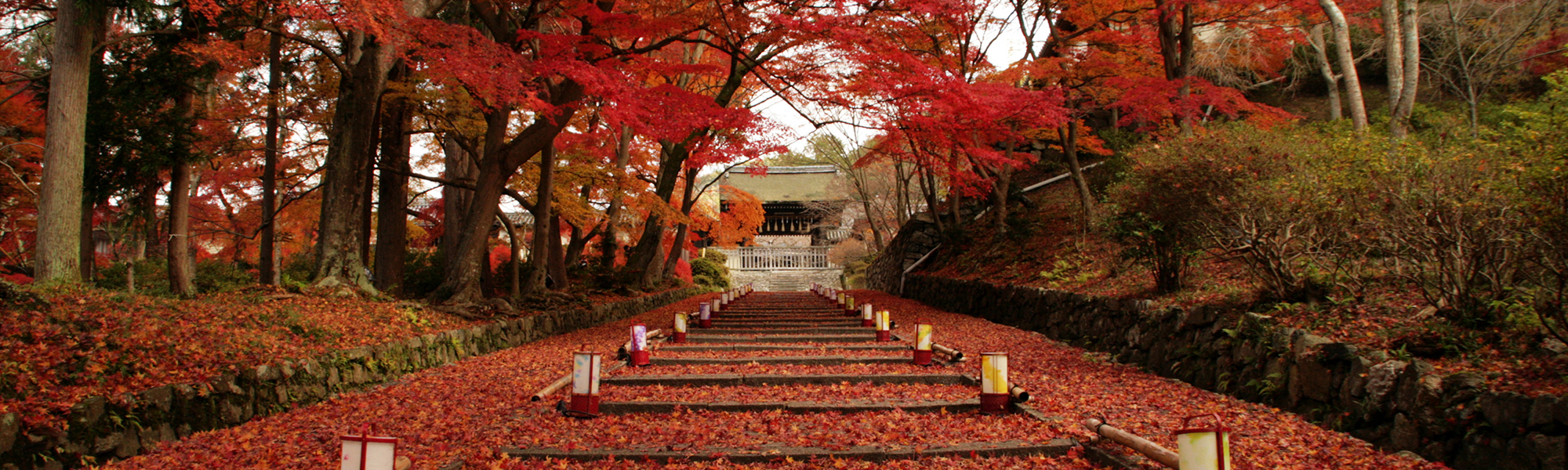 紅葉に染まる秋の旅行におすすめの町家