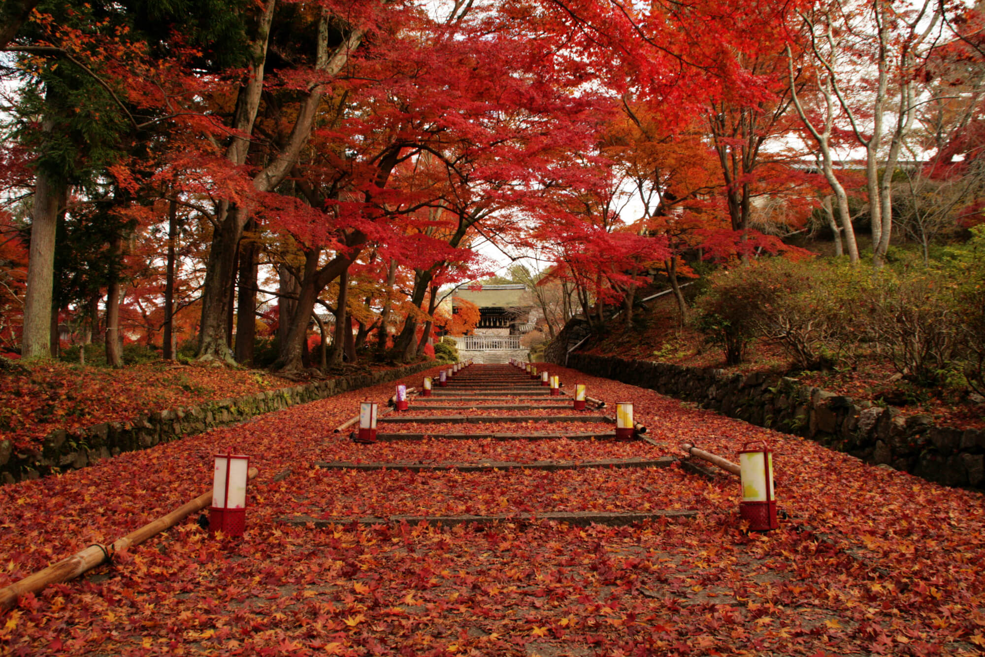 紅葉に染まる秋の旅行におすすめの町家